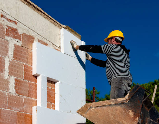 Best Cellulose Insulation  in Robins, IA