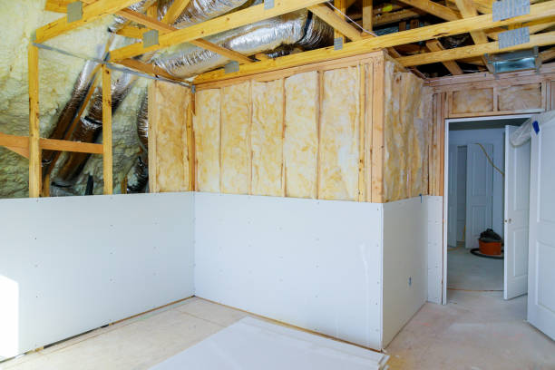 Best Professional Insulation Contractor  in Robins, IA