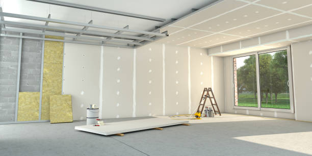 Best Insulation Removal  in Robins, IA