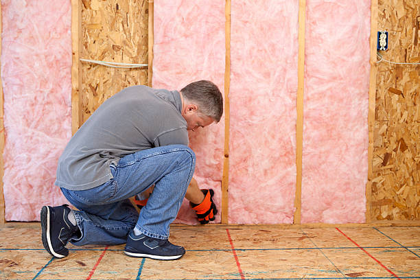 Best Energy-efficient Insulation  in Robins, IA